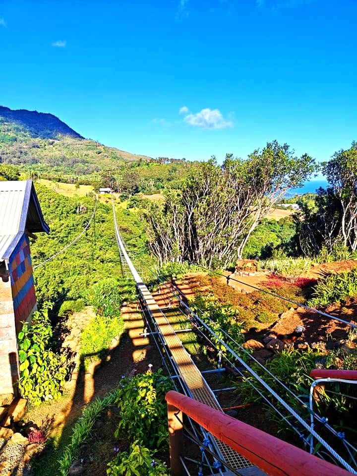 Suspension bridge crossing a lush forest gorge at Vallรฉe des Couleurs nature park, Mauritius