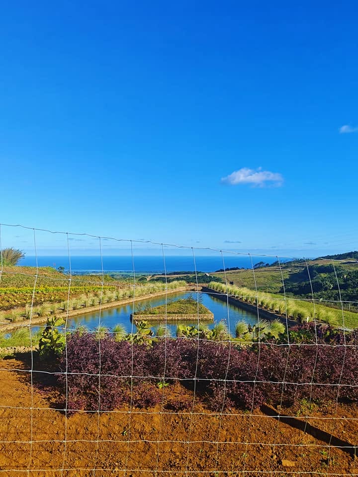 Sweeping viewpoint over Vallรฉe des Couleurs, Mauritius, with rolling green hills and coloured earth stretching to the horizon